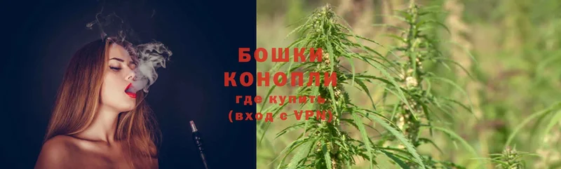 Бошки Шишки OG Kush  Кедровый 